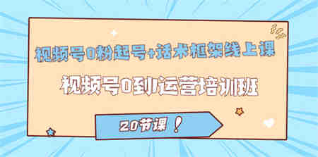 视频号·0粉起号+话术框架线上课：视频号0到1运营培训班（20节课）-营销武器库