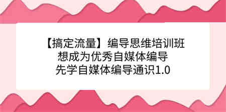 【搞定流量】编导思维培训班，想成为优秀自媒体编导先学自媒体编导通识1.0-营销武器库