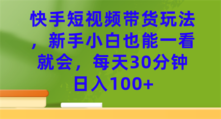 快手短视频带货玩法，新手小白也能一看就会，每天30分钟日入100+-营销武器库