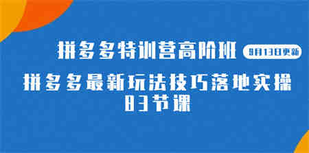 2023拼多多·特训营高阶班【9月19日更新】拼多多最新玩法技巧落地实操-83节-营销武器库