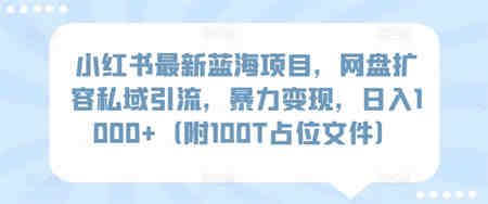 小红书最新蓝海项目，网盘扩容私域引流，暴力变现，日入1000+（附100T占位文件）-营销武器库