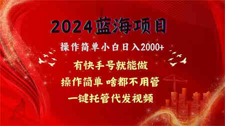 （10693期）2024蓝海项目，网盘拉新，操作简单小白日入2000+，一键托管代发视频，…-营销武器库