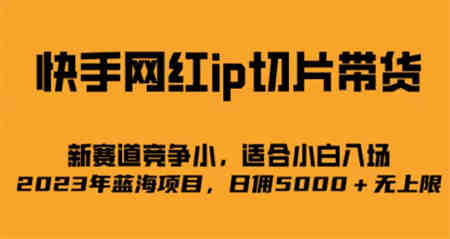 快手网红ip切片新赛道，竞争小事，适合小白 2023蓝海项目-营销武器库