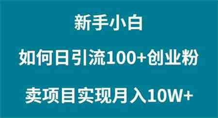 （9556期）新手小白如何通过卖项目实现月入10W+-营销武器库