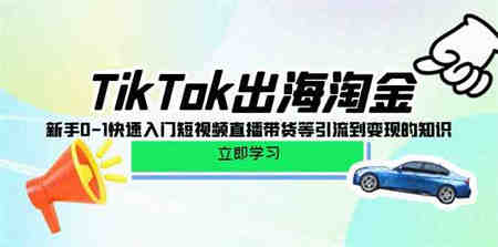 （10035期）TikTok-出海淘金，新手0-1快速入门短视频直播带货等引流到变现的知识-营销武器库