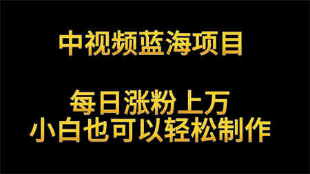 中视频蓝海项目，解读英雄人物生平，每日涨粉上万，小白也可以轻松制作，月入过万-营销武器库