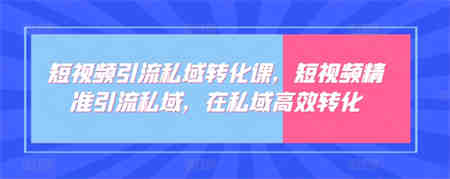 短视频引流私域转化课，短视频精准引流私域，在私域高效转化-营销武器库