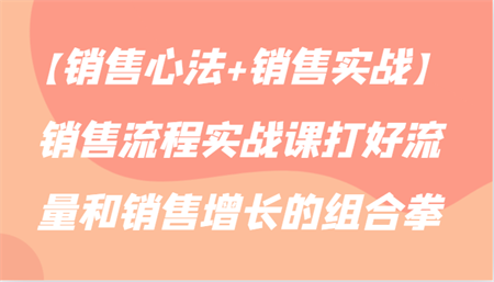 【销售心法+销售实战】销售流程实战课打好流量和销售增长的组合拳-营销武器库