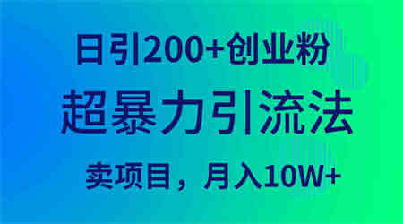 （9654期）超暴力引流法，日引200+创业粉，卖项目月入10W+-营销武器库