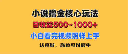 小说撸金核心玩法，日收益500-1000+，小白看完照样上手，0成本有手就行-营销武器库