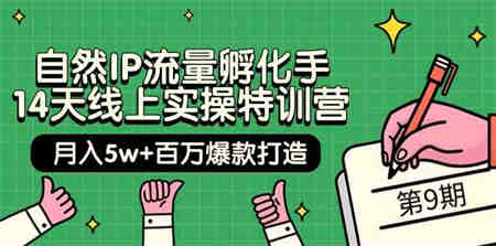 （9881期）自然IP流量孵化手 14天线上实操特训营【第9期】月入5w+百万爆款打造 (74节)-营销武器库