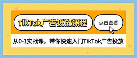 TikTok广告投放课程，从0-1实战课，带你快速入门TikTok广告投放（30节课）-营销武器库