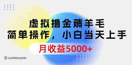 （9864期）虚拟撸金薅羊毛，简单操作，小白当天上手，月收益5000+-营销武器库