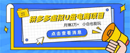 拼多多虚拟U盘电商红利项目：月赚2万+，新手小白也能玩-营销武器库