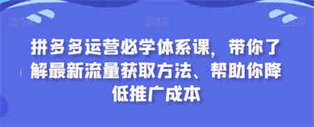 拼多多运营必学体系课，带你了解最新流量获取方法、帮助你降低推广成本-营销武器库