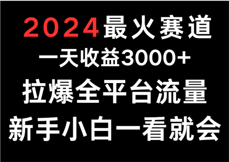 2024最火赛道，一天收一3000+.拉爆全平台流量，新手小白一看就会-营销武器库