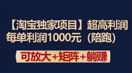 （9413期）【淘宝独家项目】超高利润：每单利润1000元-营销武器库