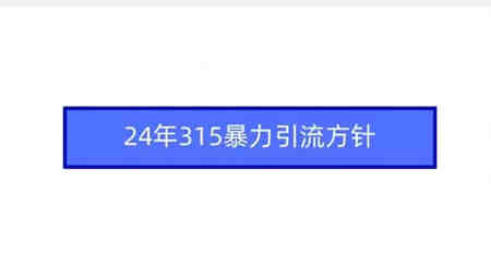 24年315暴力引流方针-营销武器库