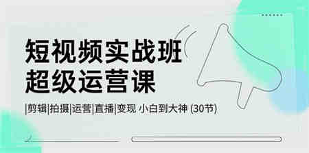 短视频实战班超级运营课 |剪辑|拍摄|运营|直播|变现 小白到大神 (30节)-营销武器库