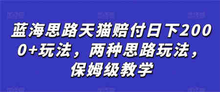 蓝海思路天猫赔付日下2000+玩法，两种思路玩法，保姆级教学【仅揭秘】-营销武器库