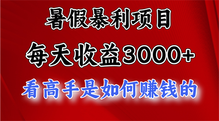 暑假暴利项目，每天收益3000+ 努努力能达到5000+，暑假大流量来了-营销武器库