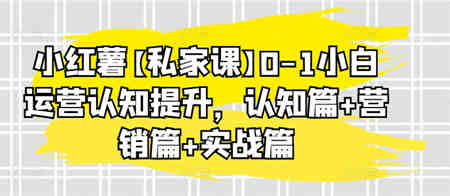 小红薯【私家课】0-1小白运营认知提升，认知篇+营销篇+实战篇-营销武器库