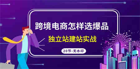 跨境电商怎样选爆品，独立站建站实战（20节高清课）-营销武器库