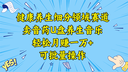 健康养生细分领域赛道，卖音药U盘养生音乐，轻松月赚一万+，可批量操作-营销武器库