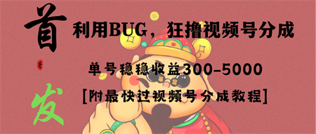 全网独家首发，视频号BUG，超短期项目，单号每日净收益300-5000！-营销武器库