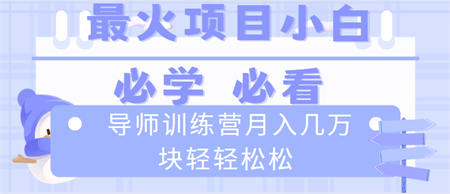 导师训练营互联网最牛逼的项目没有之一，新手小白必学，月入2万+轻轻松松-营销武器库