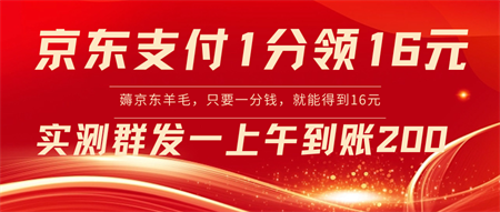 京东支付1分得16元实操到账200-营销武器库