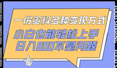 一份资料多种变现方式，小白也能轻松上手，日入800不是问题-营销武器库