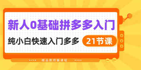 新人0基础拼多多入门，纯小白快速入门多多（21节课）-营销武器库