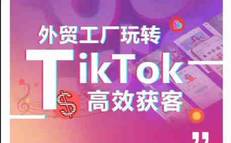 外贸工厂玩转TikTok高效获客，多种引流方式与账号定位技巧，拆解爆款短视频打造成功案例-营销武器库