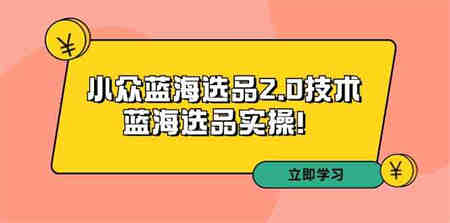 （9189期）拼多多培训第33期：小众蓝海选品2.0技术-蓝海选品实操！-营销武器库