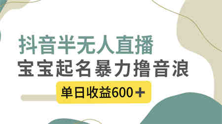 抖音半无人直播，宝宝起名，暴力撸音浪，单日收益600+-营销武器库