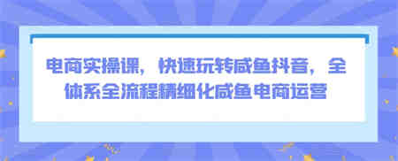 电商实操课，快速玩转咸鱼抖音，全体系全流程精细化咸鱼电商运营-营销武器库