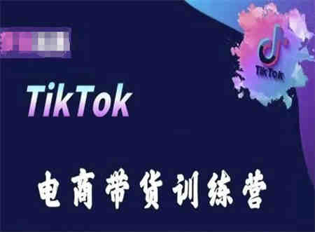 TikTok电商带货训练营，跟随时代潮流，跨境掘金-营销武器库