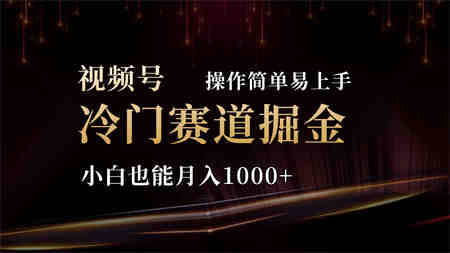 2024视频号冷门赛道掘金，操作简单轻松上手，小白也能月入1000+-营销武器库