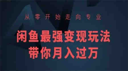 从零开始走向专业，闲鱼最强变现玩法带你月入过万-营销武器库