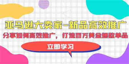 （9945期）亚马逊 大卖家-新品高效推广，分享如何高效推广，打造百万美金爆款单品-营销武器库