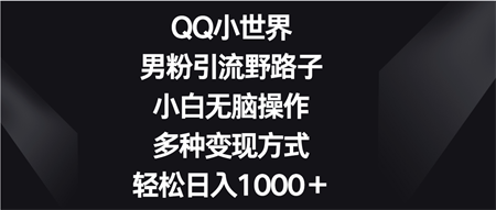 QQ小世界男粉引流野路子，小白无脑操作，多种变现方式轻松日入1000＋-营销武器库