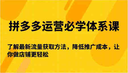 拼多多运营必学体系课-了解最新流量获取方法，降低推广成本，让你做店铺更轻松-营销武器库