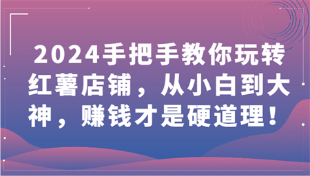 2024手把手教你玩转红薯店铺，从小白到大神，赚钱才是硬道理！-营销武器库