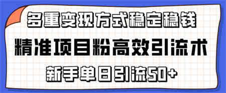 精准项目粉高效引流术，新手单日引流50+，多重变现方式稳定赚钱-营销武器库