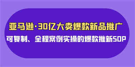 亚马逊30亿大卖爆款新品推广，可复制、全程案例实操的爆款推新SOP-营销武器库