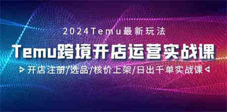 2024Temu跨境开店运营实战课，开店注册/选品/核价上架/日出千单实战课-营销武器库