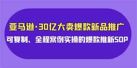 （9944期）亚马逊30亿·大卖爆款新品推广，可复制、全程案例实操的爆款推新SOP-营销武器库