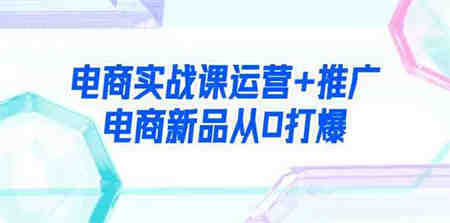 （9313期）电商实战课运营+推广，电商新品从0打爆（99节视频课）-营销武器库