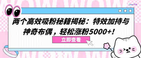 两个高效吸粉秘籍揭秘：特效加持与神奇布偶，轻松涨粉5000+-营销武器库